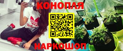 винт Сланцы