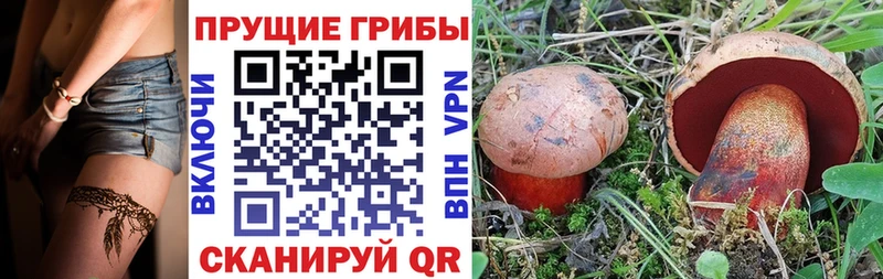 Псилоцибиновые грибы прущие грибы  мега рабочий сайт  Смоленск  что такое  